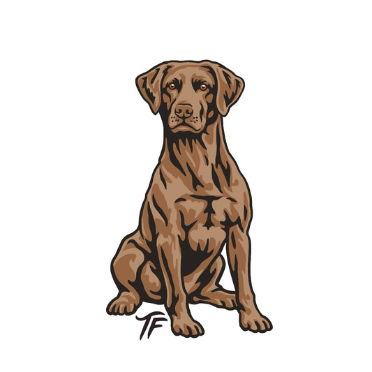 Chocolate Lab Sticker