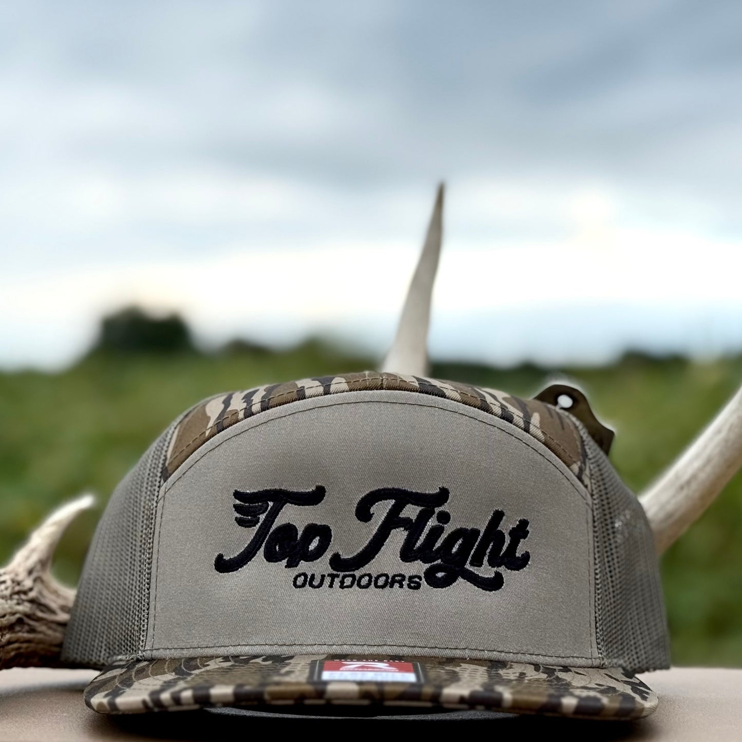 Bottomland E- Logo Panel 7